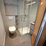 Gletscherfloh By Interhome Grindelwald