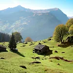 Gletscherfloh By Interhome Feriehus Grindelwald