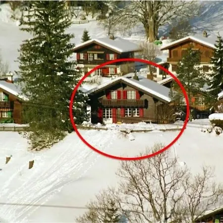 Gletscherfloh By Interhome Grindelwald