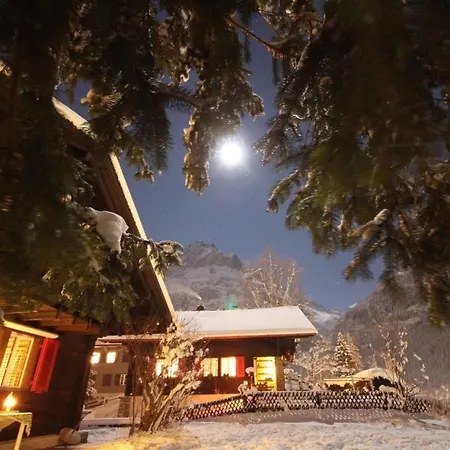 Ferienhaus Gletscherfloh By Interhome *