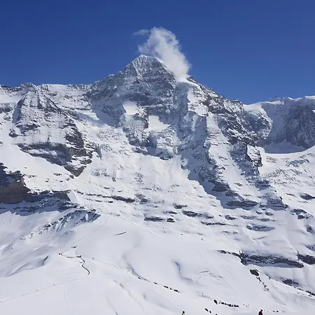 Gletscherfloh By Interhome Casa de Férias