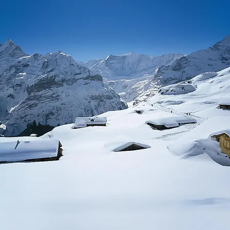 Feriehus Gletscherfloh By Interhome Grindelwald