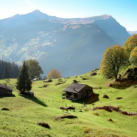 Gletscherfloh By Interhome Feriehus Grindelwald