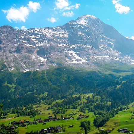 Gletscherfloh By Interhome Grindelwald