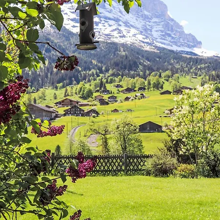 Gletscherfloh By Interhome * Grindelwald