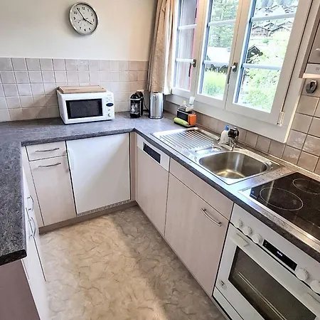 Gletscherfloh By Interhome Feriehus Grindelwald