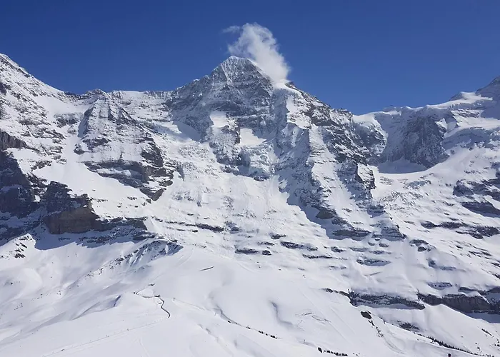 Gletscherfloh By Interhome Casa de Férias