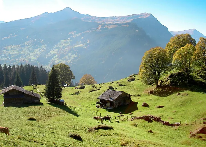 Gletscherfloh By Interhome Nyaraló Grindelwald