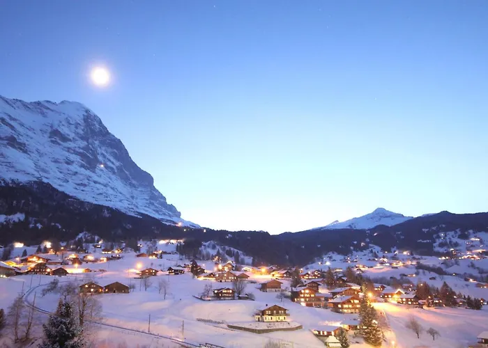 Gletscherfloh By Interhome Γκρίντελβαλντ